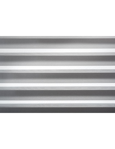 Roller blind fabric Bahama IX 96 FR day- night