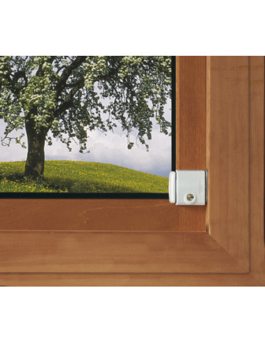 Zamek okienny ABUS FTS 3002