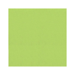 Roller blind fabric, group II 157 2