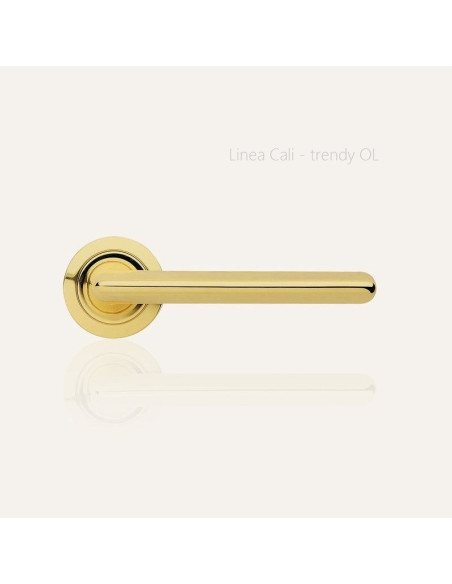 Lever door handle Linea Cali Trendy on a round rose 102
