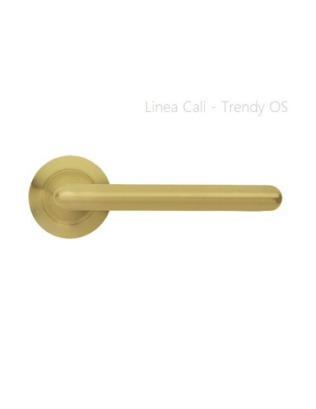 Lever door handle Linea Cali Trendy on a round rose 102