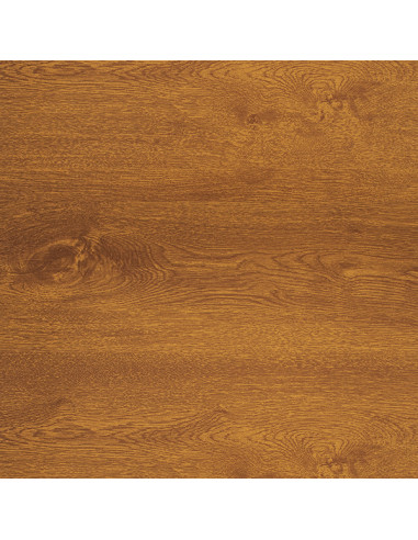 External Window Sill Lacquered Steel Standard Golden Oak