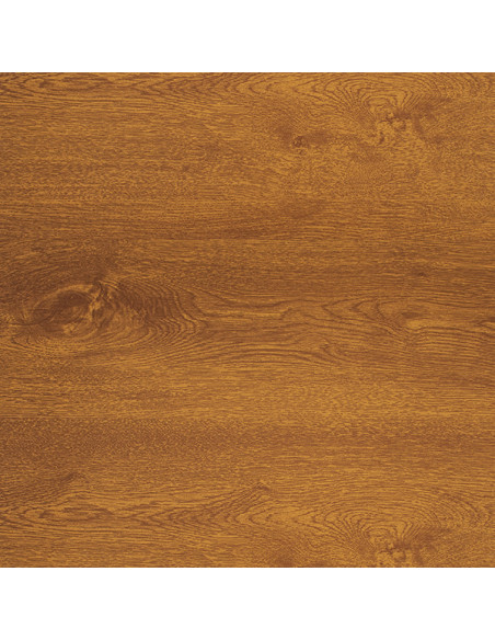 External Window Sill Lacquered Steel Standard Golden Oak