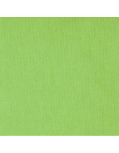 Roller blind fabric group I Ara 11